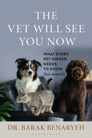 The Vet Will See You Now