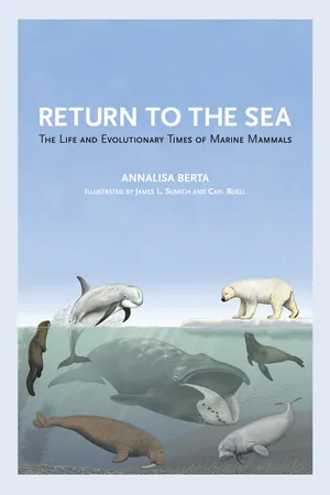 Return to the Sea