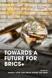 Towards a Future for BRICS+_cover