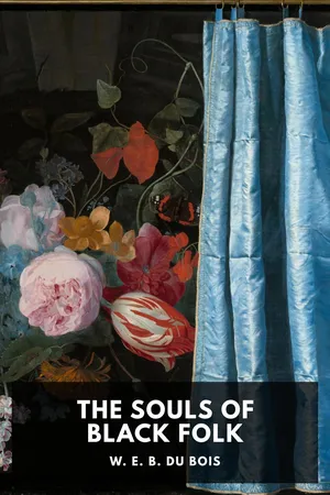 The Souls of Black Folk