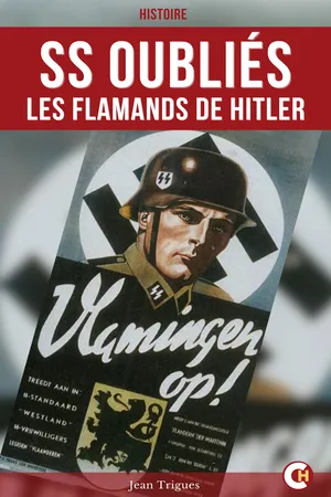 SS oubliés : les Flamands de Hitler