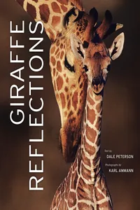 Giraffe Reflections_cover