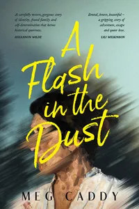 A Flash in the Dust_cover
