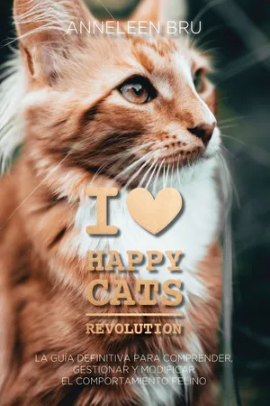 Happy Cats Revolución