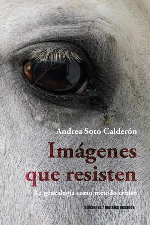 Imágenes que resisten