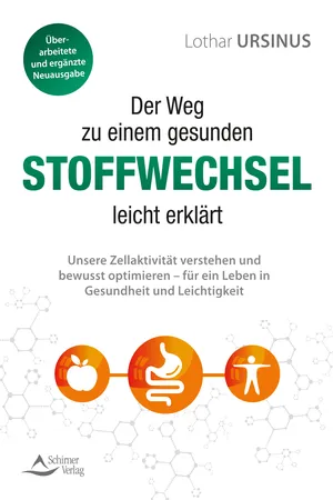 Der Weg zu einem gesunden Stoffwechsel – leicht erklärt