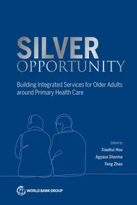 Silver Opportunity_cover