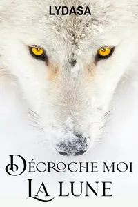 Décroche moi la lune_cover