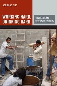 Working Hard, Drinking Hard_cover