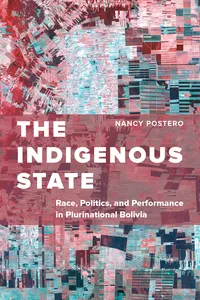 The Indigenous State_cover