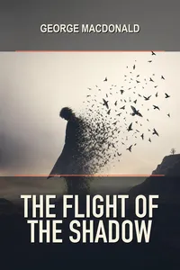 The Flight of the Shadow_cover