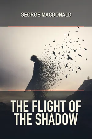 The Flight of the Shadow