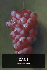 Cane_cover