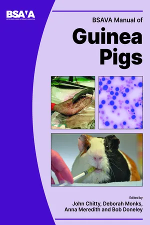 BSAVA Manual of Guinea Pigs