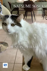 Je suis un chat_cover