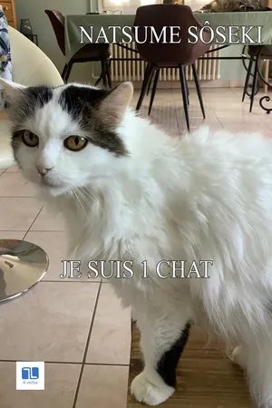 Je suis un chat