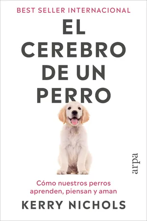 El cerebro de un perro
