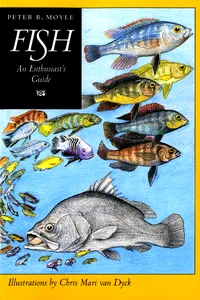 Fish_cover