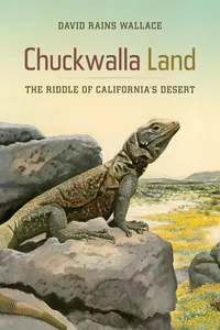 Chuckwalla Land_cover