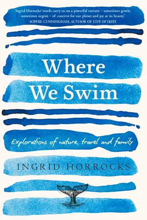 Where We Swim