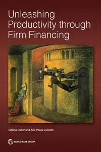 Unleashing Productivity through Firm Financing_cover