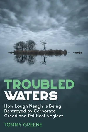 Troubled Waters