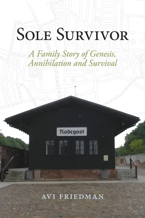 Sole Survivor