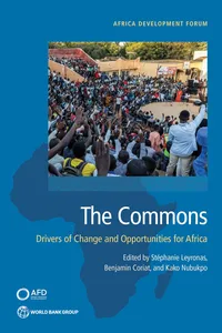 The Commons_cover