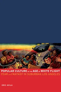 Popular Culture in the Age of White Flight_cover