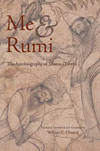 Me and Rumi_cover