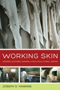 Working Skin_cover