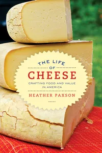 The Life of Cheese_cover