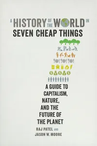 A History of the World in Seven Cheap Things_cover