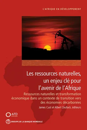 Les ressources naturelles, un enjeu clé pour l'avenir de I'Afrique