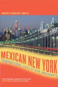 Mexican New York_cover