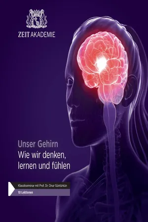 Unser Gehirn Wie wir denken, lernen und fühlen