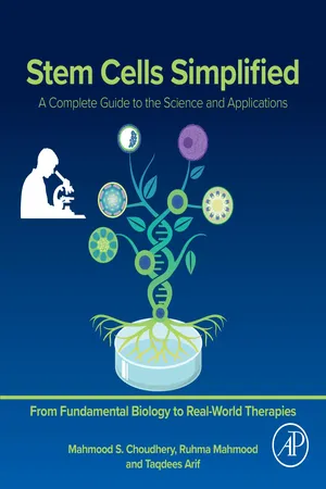 Stem Cells Simplified
