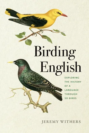 Birding English