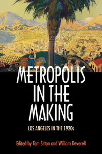 Metropolis in the Making_cover