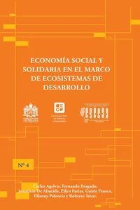 Economía social y solidaria en el marco de ecosistemas de desarrollo
