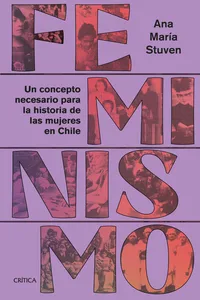 Feminismo_cover