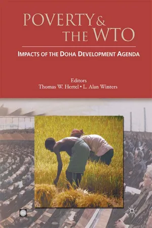 Poverty and the WTO