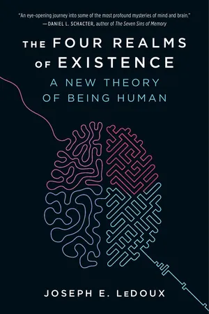 The Four Realms of Existence