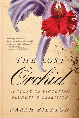 The Lost Orchid