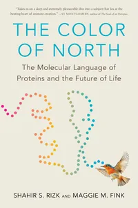 The Color of North_cover