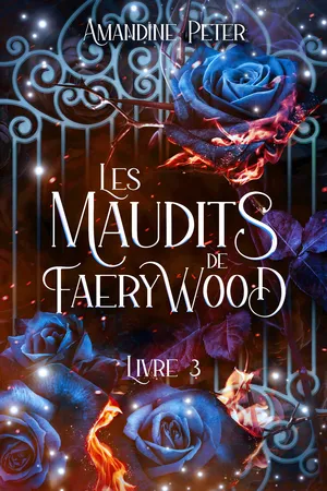 Les Maudits de Faerywood, Livre 3
