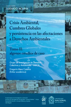 Crisis Ambiental, Cumbres Globales y persistencia en las afectaciones a Derechos Ambientales