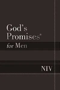 God's Promises for Men NIV_cover