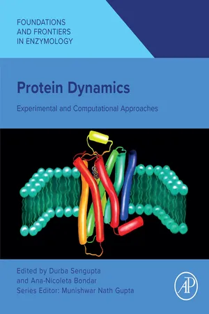 Protein Dynamics