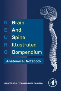 NEURO BASIC: Brain and Spine Illustrated Compendium – Anatomical Notebook